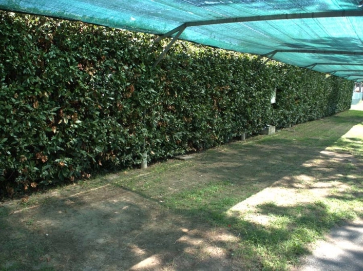 zobacz camping - zdjęcie 13