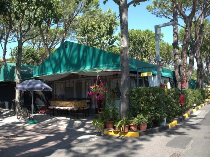 zobacz camping - zdjęcie 10