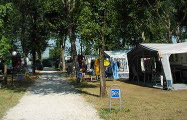 zobacz camping - zdjęcie 31