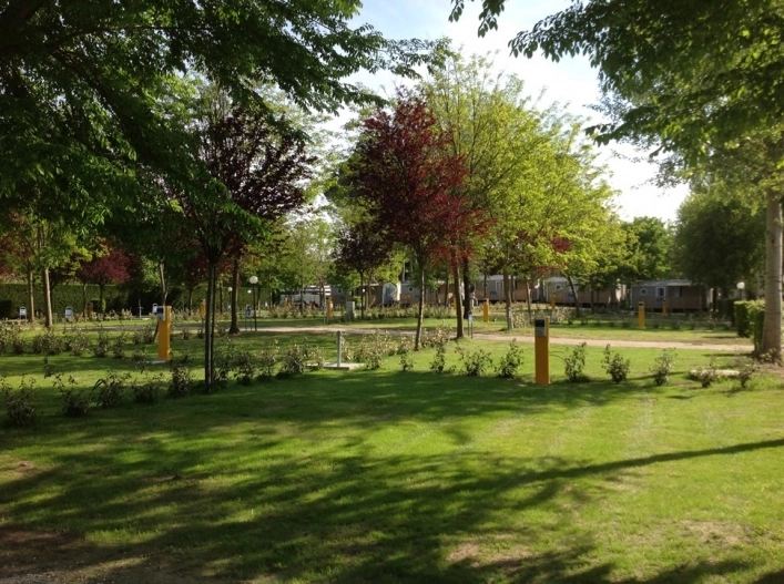 zobacz camping - zdjęcie 29