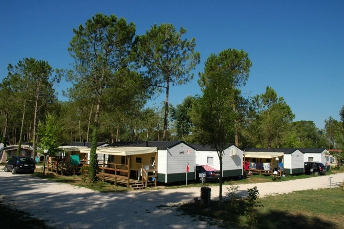 zobacz camping - zdjęcie 21