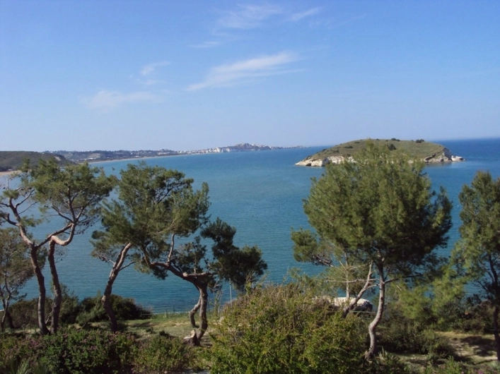 zobacz camping - zdjęcie 26