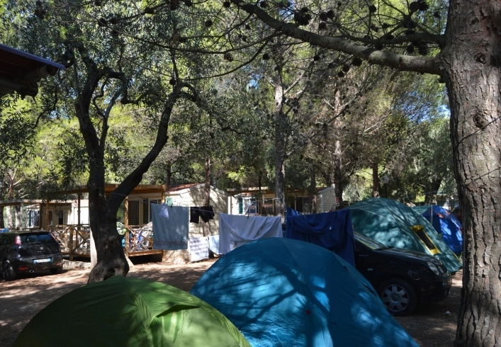 zobacz camping - zdjęcie 25