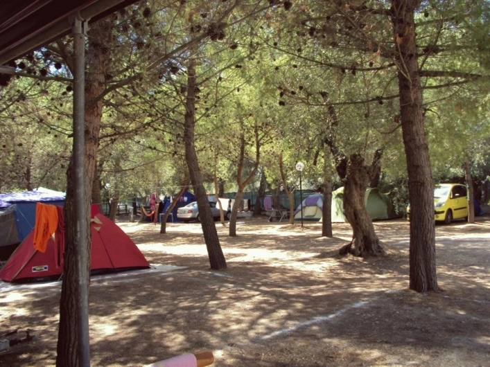 zobacz camping - zdjęcie 23