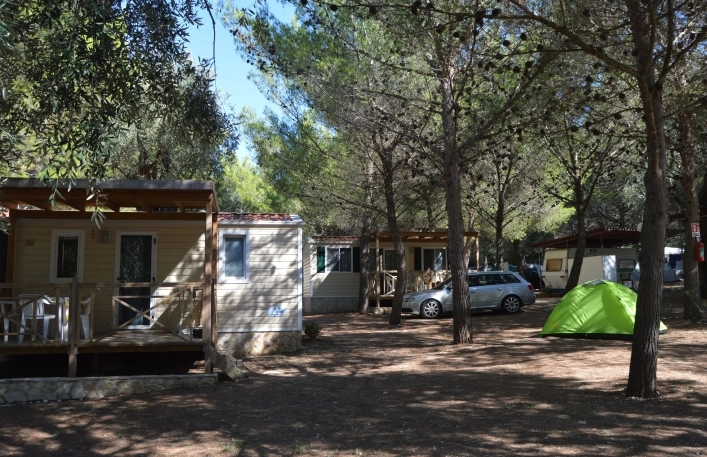 zobacz camping - zdjęcie 21