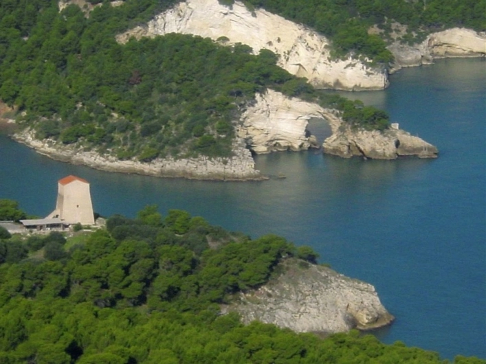 zobacz camping - zdjęcie 19