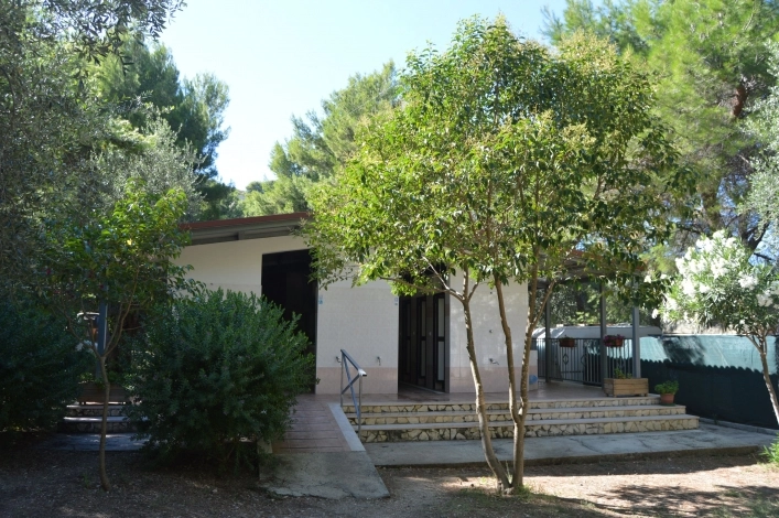 zobacz camping - zdjęcie 18