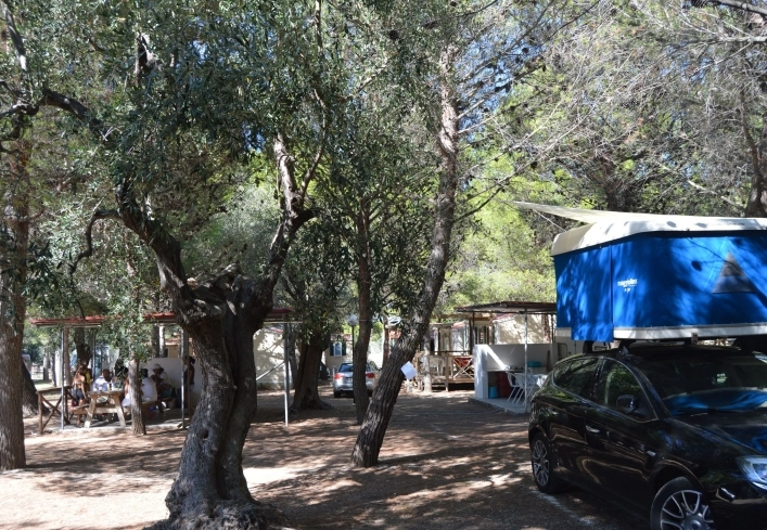 zobacz camping - zdjęcie 16