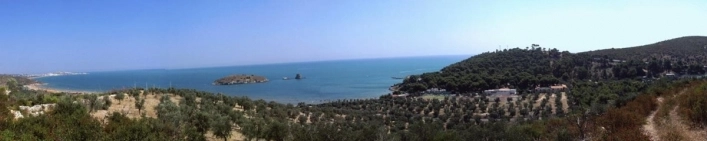 zobacz camping - zdjęcie 14