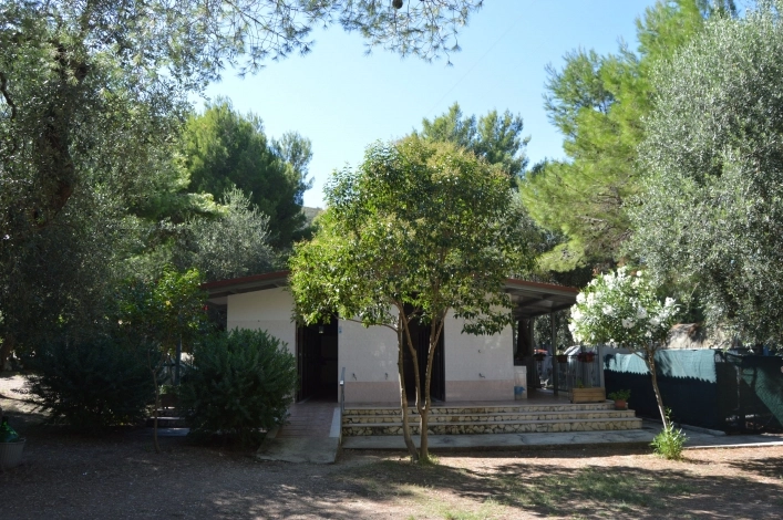 zobacz camping - zdjęcie 13