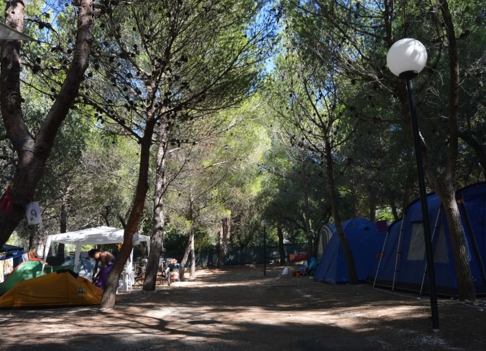 zobacz camping - zdjęcie 8