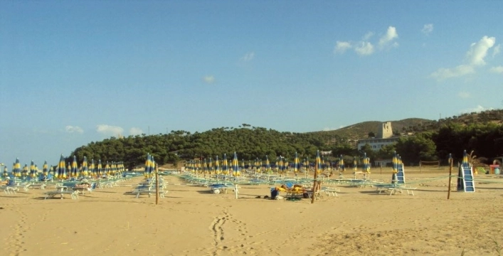 zobacz camping - zdjęcie 7