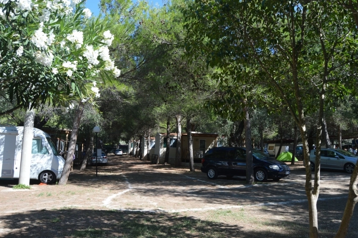 zobacz camping - zdjęcie 6