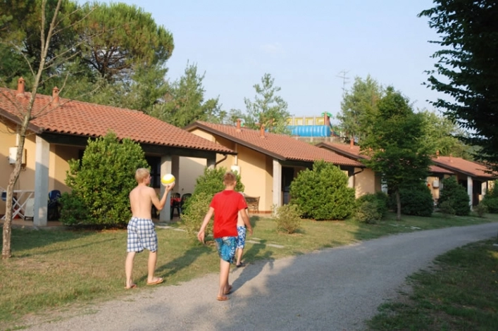 zobacz camping - zdjęcie 4