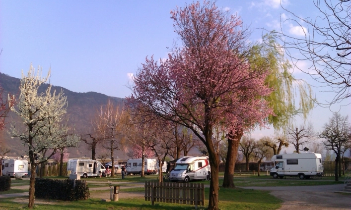 zobacz camping - zdjęcie 19