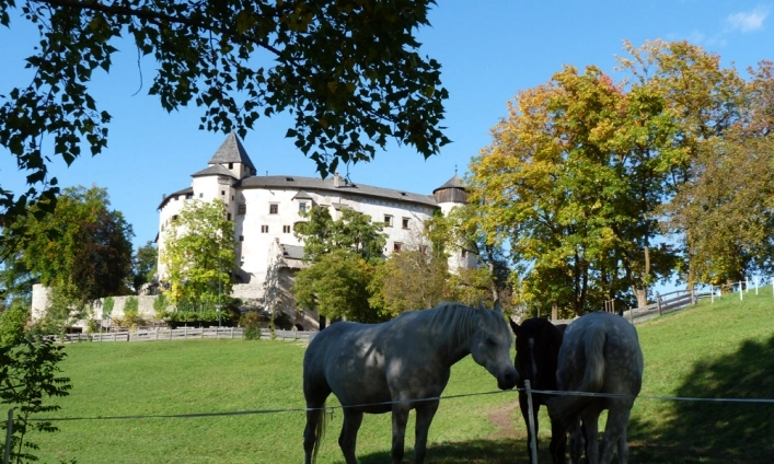 Camping Arquin - zdjęcie 4