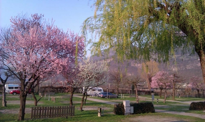 zobacz camping - zdjęcie 4