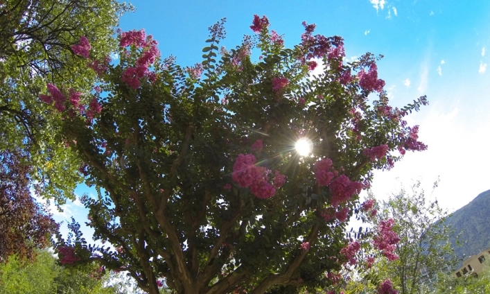 zobacz camping - zdjęcie 1