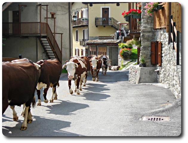 zobacz camping - zdjęcie 23