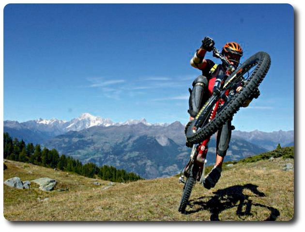 zobacz camping - zdjęcie 22