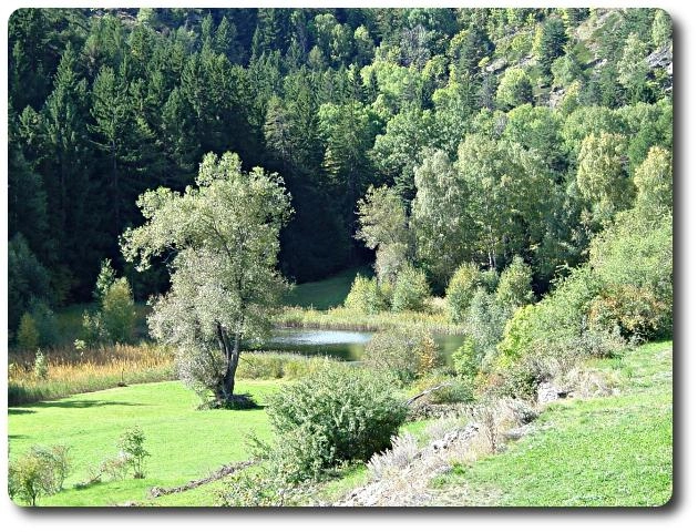 zobacz camping - zdjęcie 19