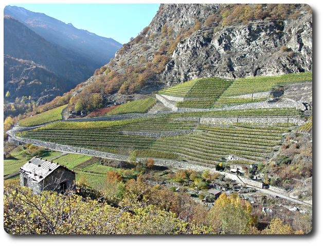 zobacz camping - zdjęcie 14