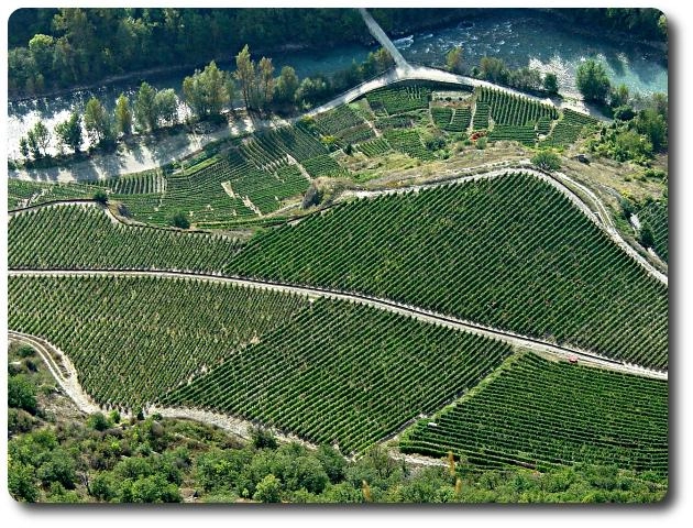 zobacz camping - zdjęcie 13