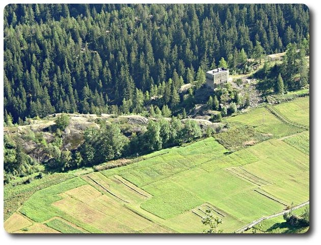 zobacz camping - zdjęcie 9