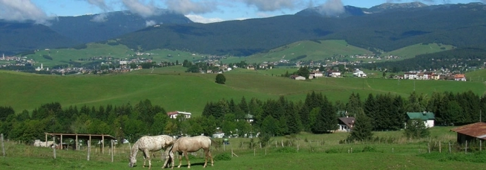 zobacz camping - zdjęcie 13