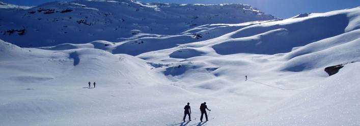 zobacz camping - zdjęcie 9