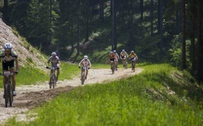 zobacz camping - zdjęcie 6