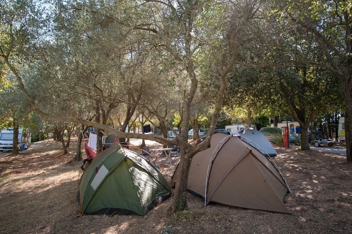 zobacz camping - zdjęcie 10