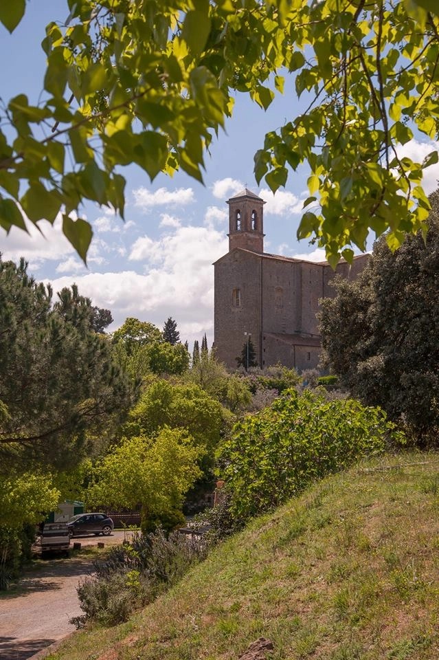 zobacz camping - zdjęcie 7