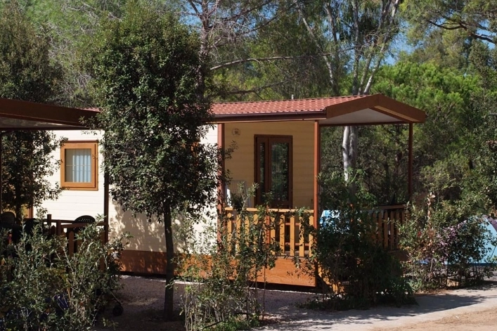 zobacz camping - zdjęcie 6