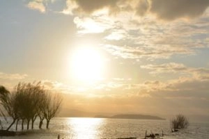 zobacz camping - zdjęcie 53