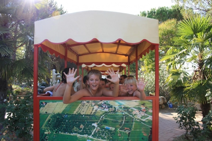 zobacz camping - zdjęcie 50