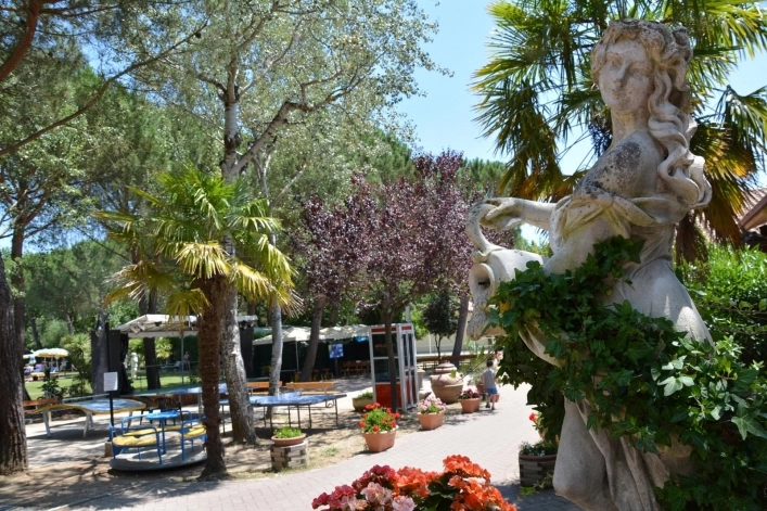 zobacz camping - zdjęcie 25