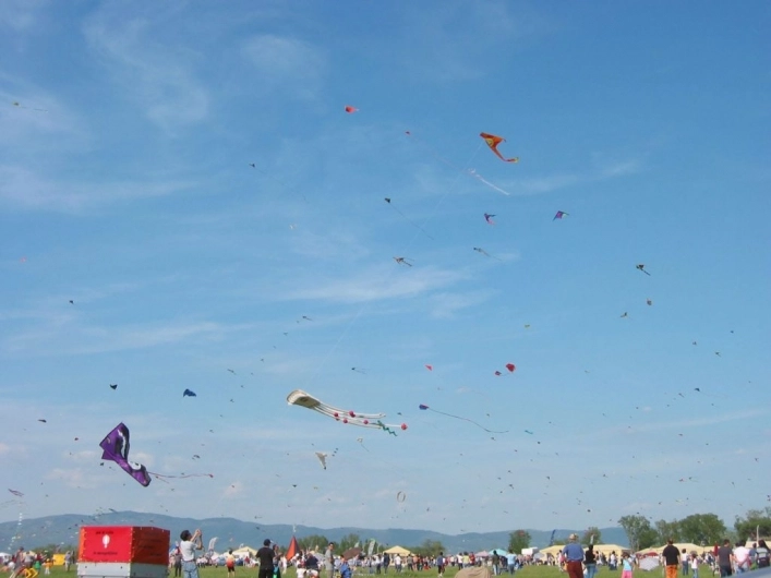 zobacz camping - zdjęcie 12