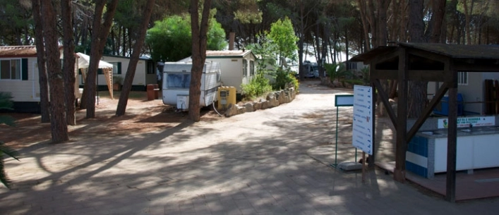 zobacz camping - zdjęcie 31