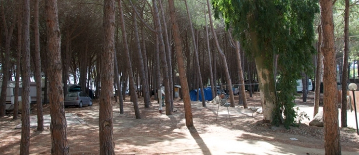 zobacz camping - zdjęcie 27