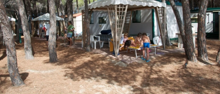 zobacz camping - zdjęcie 16