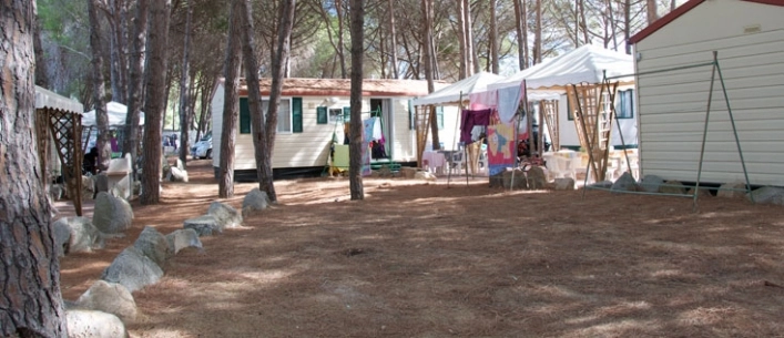 zobacz camping - zdjęcie 13