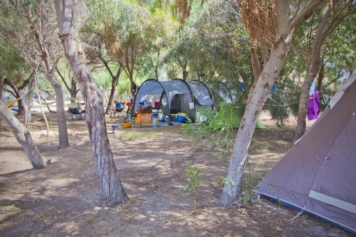 zobacz camping - zdjęcie 22