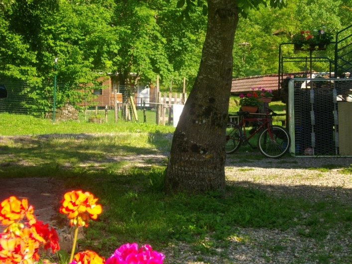 zobacz camping - zdjęcie 6