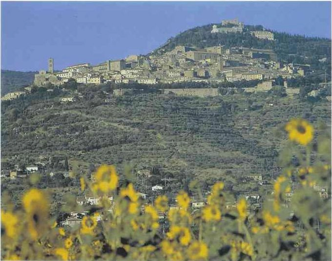 zobacz camping - zdjęcie 2