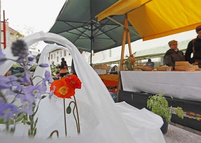 zobacz camping - zdjęcie 12