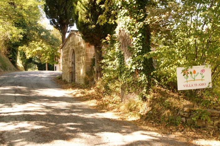 zobacz camping - zdjęcie 8