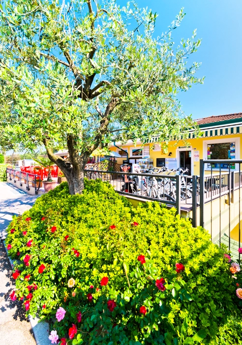 zobacz camping - zdjęcie 7