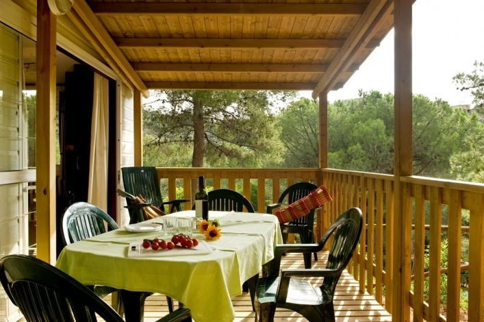 zobacz camping - zdjęcie 22