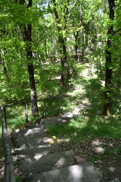 zobacz camping - zdjęcie 18